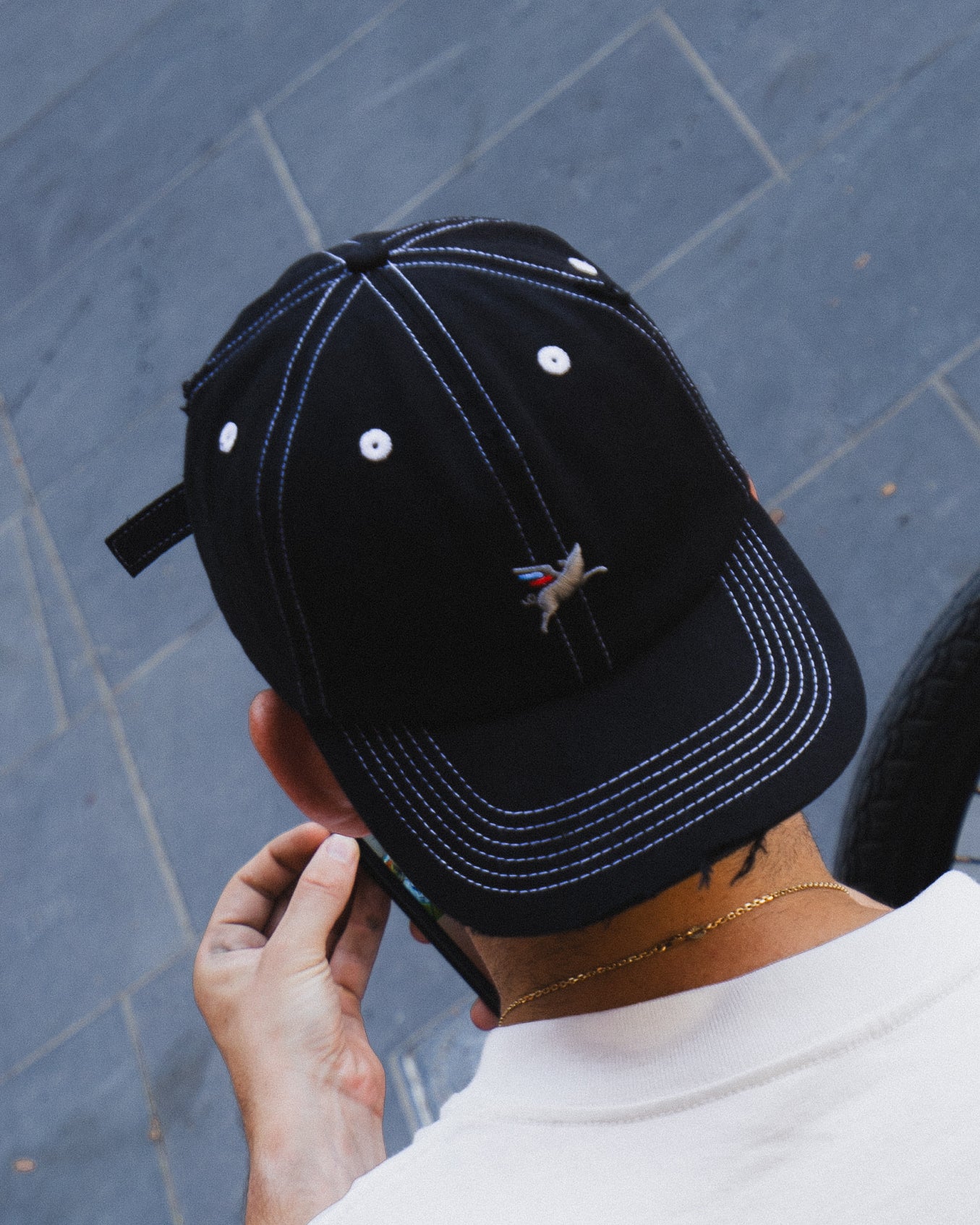 Ichpig Pigasus Dad Cap Washed Black