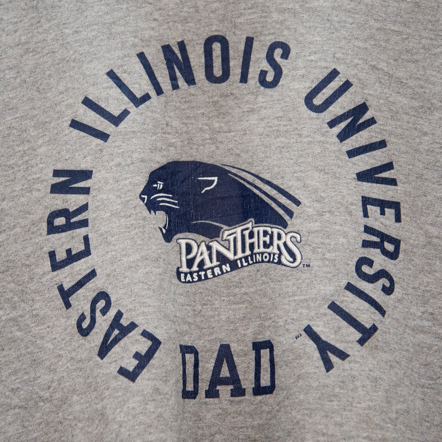 90's Eastern Illinois Panthers Sweatshirt Large