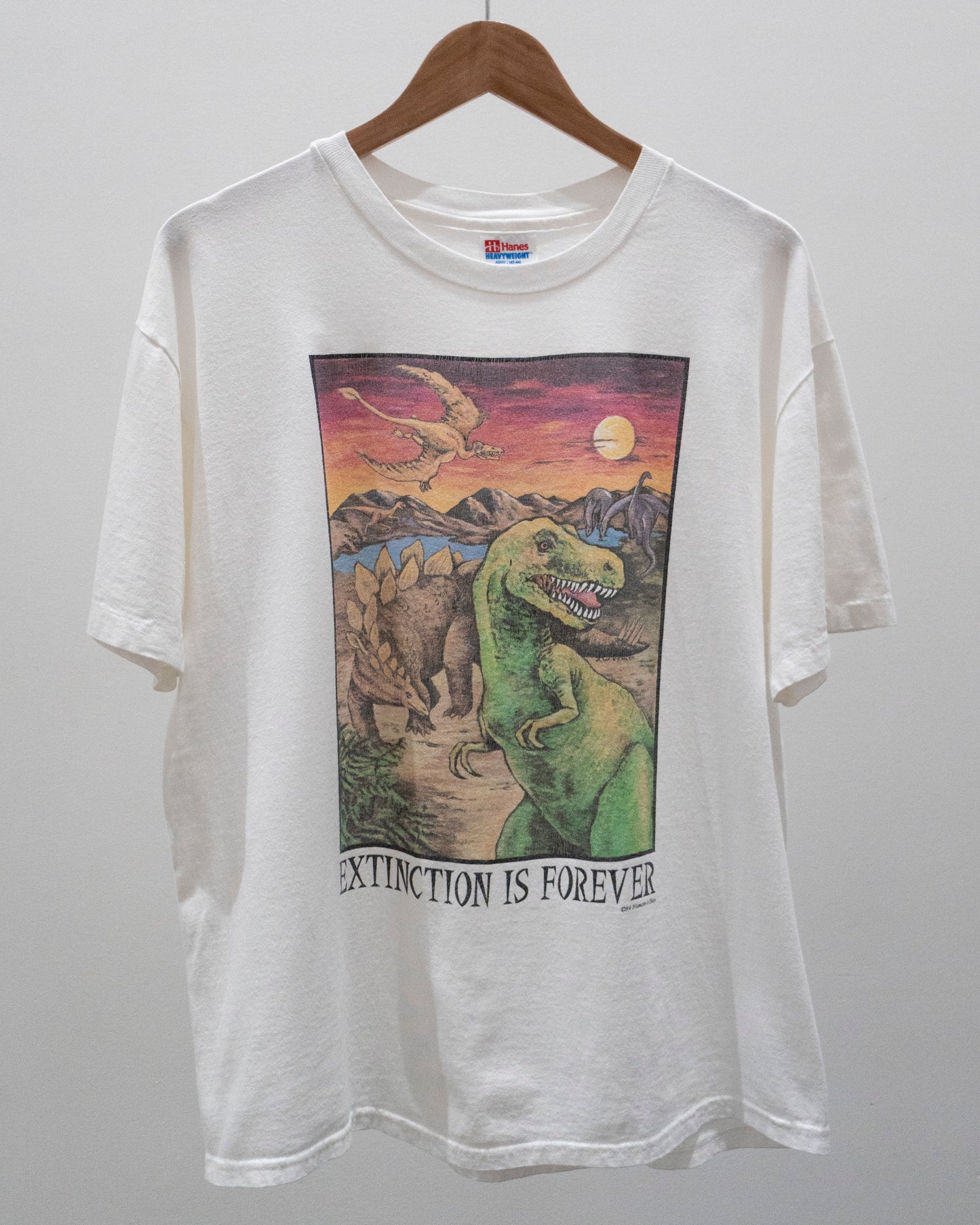 1994 Extinction Is Forever T-Shirt Large