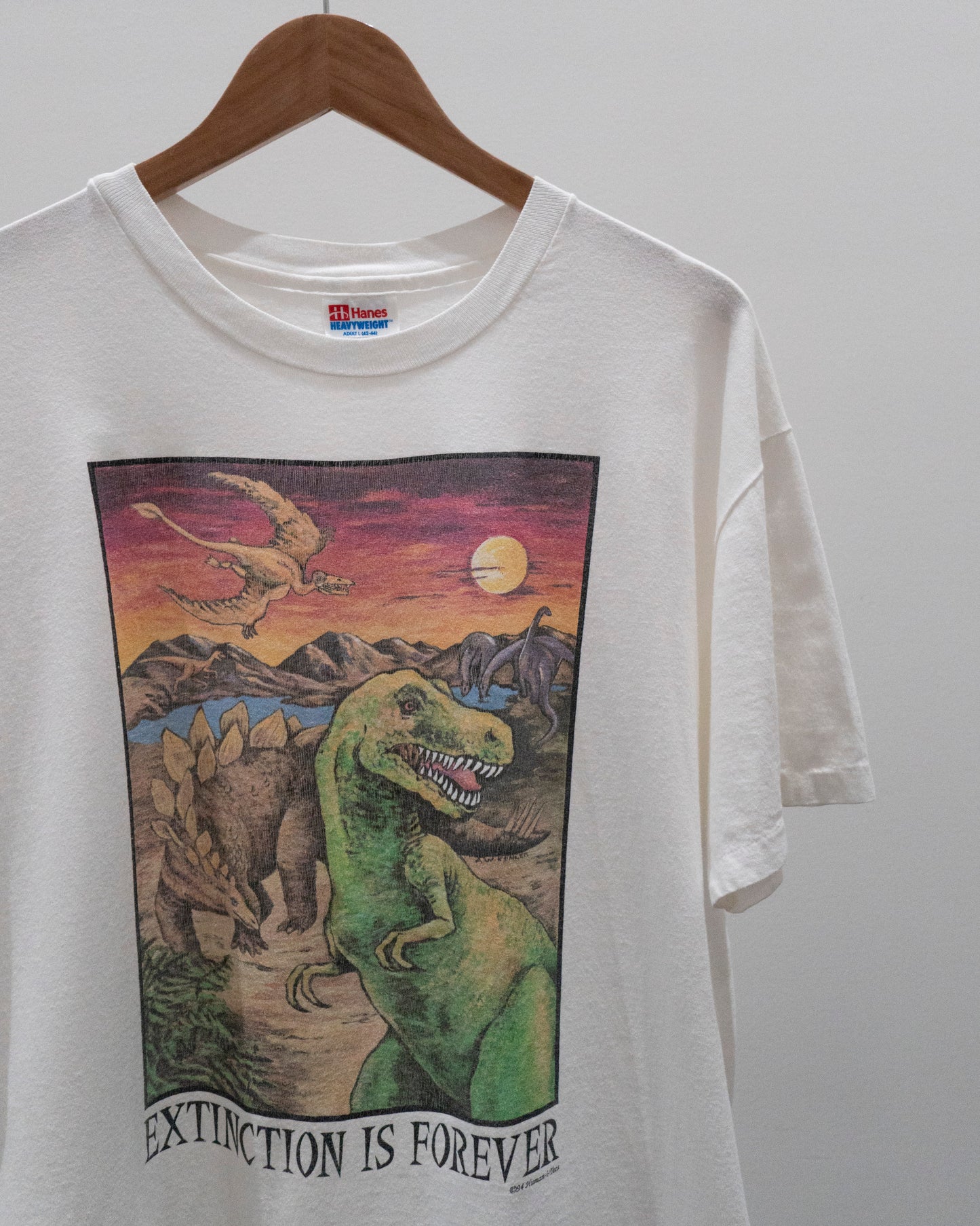 1994 Extinction Is Forever T-Shirt Large