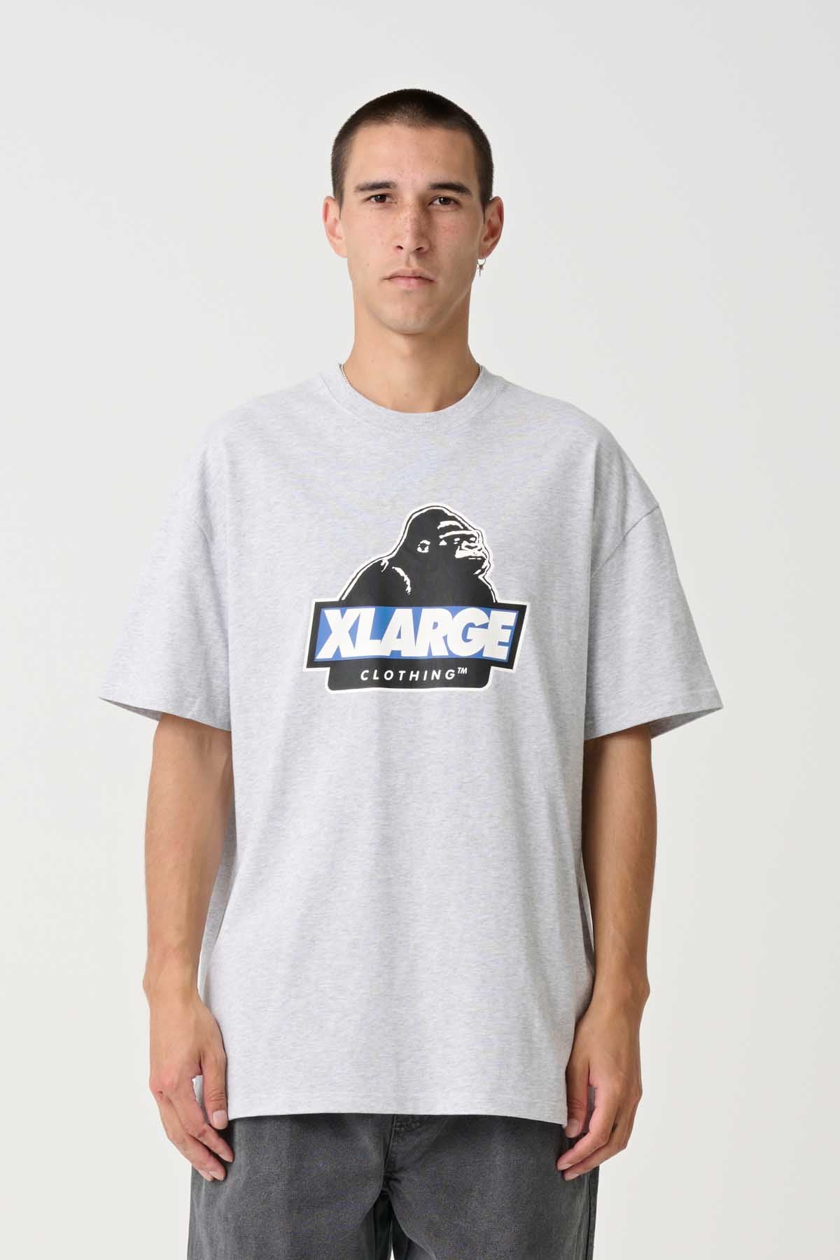 X-Large Slanted Logo T-Shirt Ash Grey