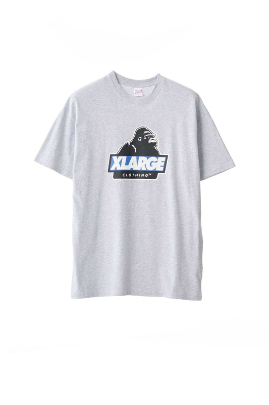 X-Large Slanted Logo T-Shirt Ash Grey