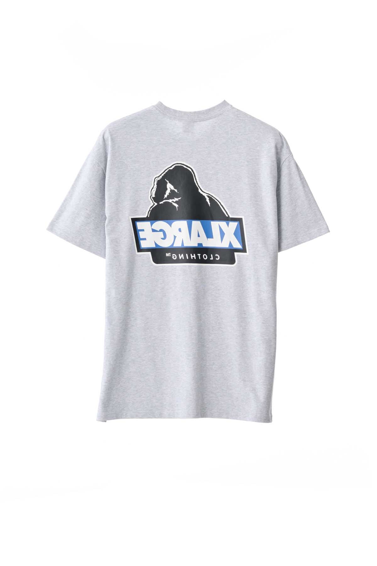 X-Large Slanted Logo T-Shirt Ash Grey