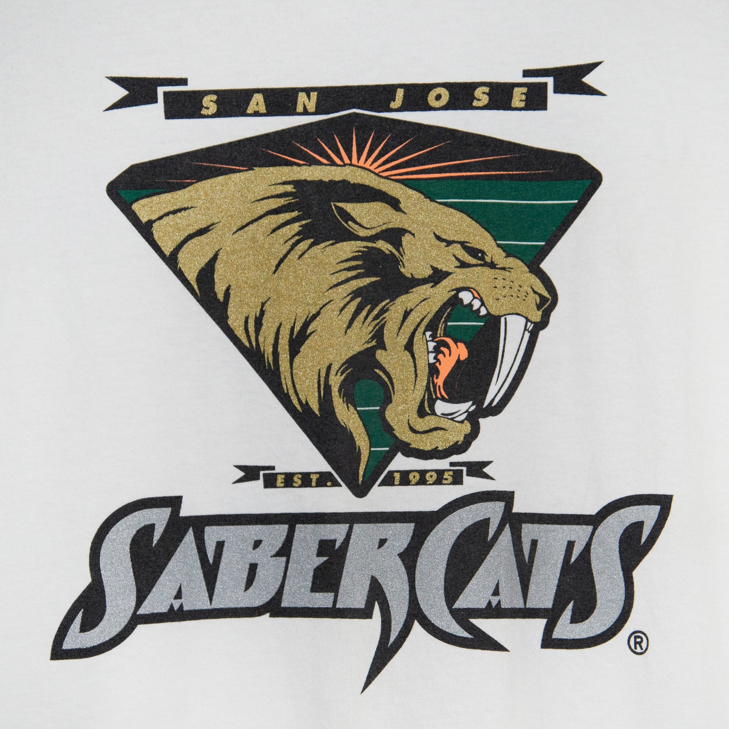 Vintage San Jose Saber Cats T-Shirt Large